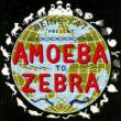 Amoeba To Zebra