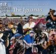 Jazz Fest 2008