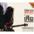 Forever Love Hits (Vcd)