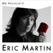 Mr.Vocalist: 3