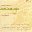 Messe Pange Lingua : L.Bohme / Kammerchor Josquin Des Prez