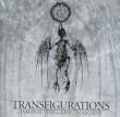 Transfigurations