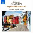 Keyboard Sonatas Vol.1 : M.Napoli(P)