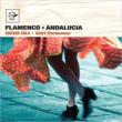 Flamenco: Andalucia Guitar Solo