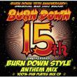 Burn Down Style -15th Anniversary Anthem Mix-