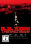 Bb King & The Guitar Legends In Sevilla, Spain