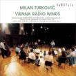 Dvorak Serenade for Winds, R.Strauss Serenade, Eder : Turkovic / Winds of Vienna Rso