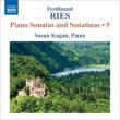 Piano Sonatas, Sonatinas Vol.5 : S.Kagan