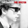 Essential Phil Spector (2CD)