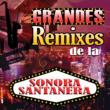 Grandes Remixes De La Sonora