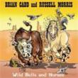 Wild Bulls & Horses