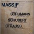 Dichterliebe: Massif Trio(T & 2 G)+schubert, R.strauss