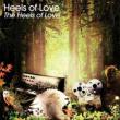 Heels Of Love