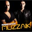 Nervous Nitelife: Muzzaik