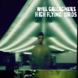 Noel Gallagher' s High Flying Birds