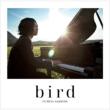 Bird/Yuuyake Kousoku Douro (+DVD)[First Press Limited Edition]