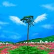 Hitotsu Dake-We Are The One-