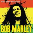 John Tobler Interviewsc Bob Marley