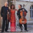 Piano Trio, 1, 2, In C Minor: Trio Ceresio
