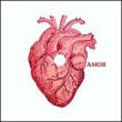Amor