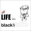 Still Life In Black & White