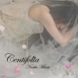 Centifolia -Noriko Mitose Art Works Best -