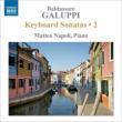 Keyboard Sonatas Vol.2 : M.Napoli(P)