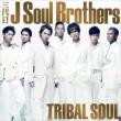 TRIBAL SOUL (+DVD)