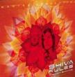 Shiva Rules