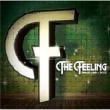 Feeling -Singles (2006-2011)