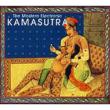 Modern Electronic Kamasutra
