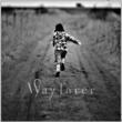 Wayfarer