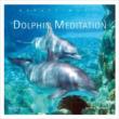 Dolphin Meditation