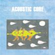 Acoustic Core