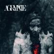 Asche Ep