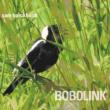 Bobolink