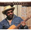 Going Back To The Blues
