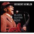 Blues Guitar Boss