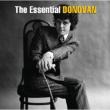 Essential Donovan