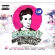 Borgore' s Misadventures In Dubstep