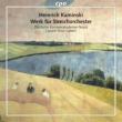 (String Orchestra)String Quintet : Skou-Larsen / Deutsche Kammerakademie Neuss