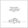 Hey Turtle Stop Running!