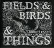 Fields & Birds & Things