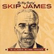 Very Best Of Skip James