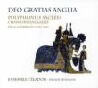 Sacred Polyphonies-english Songs From The Hundred Years War: Bundgen / Ensemble Celadon