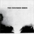 Two Wounded Birds
