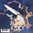 Blind The Sky
