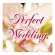 Perfect Wedding `EFfBOvi[100lI񂾃EFfBO\O`