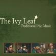 Traditional Irish Music