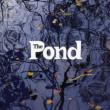 Pond